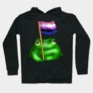 GenderFluid LGBTQ Frog Hoodie